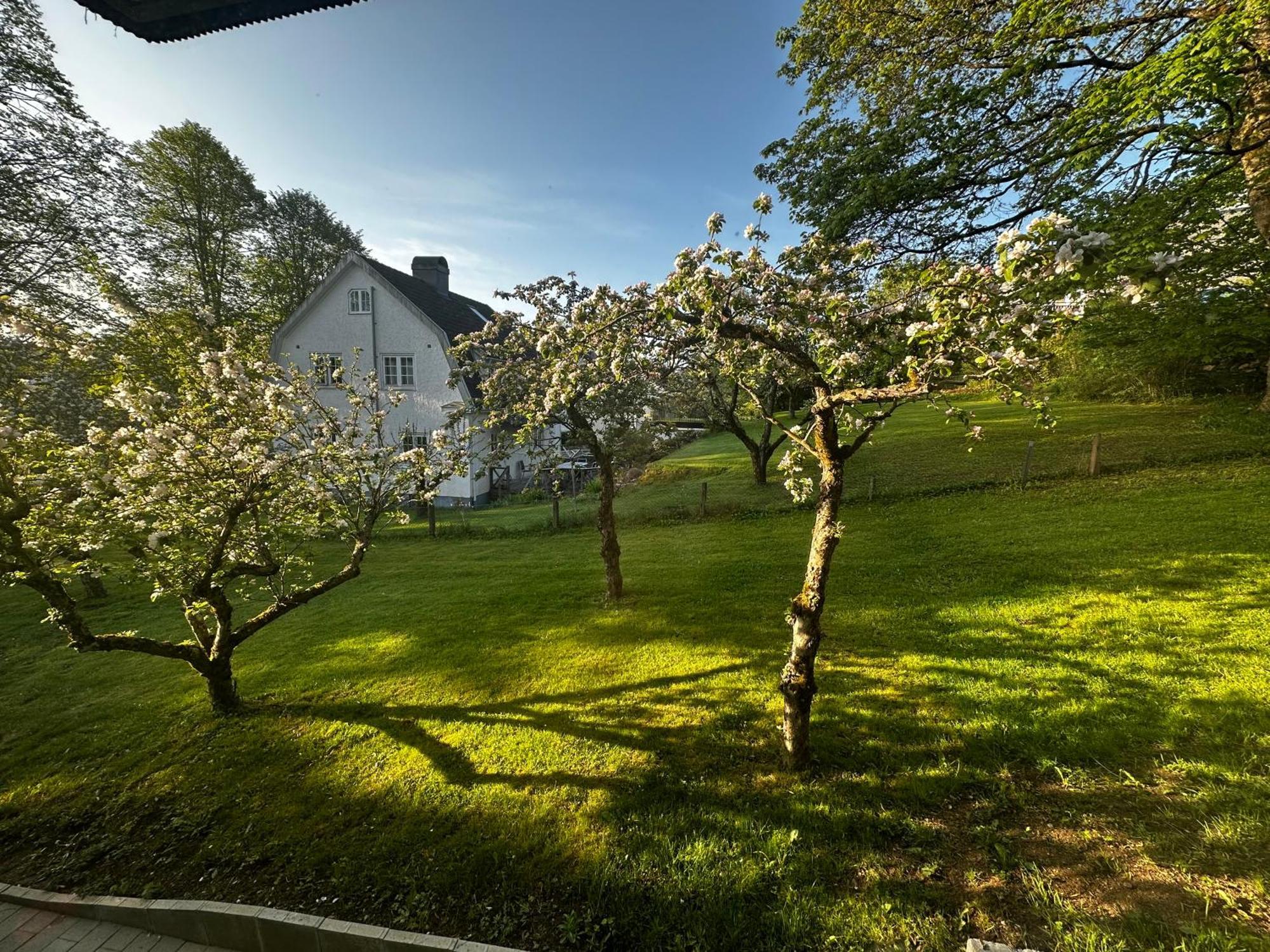 Luxury 2 Rooms Residence At The Heart Of Borås Exteriör bild
